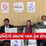 indigo railway assistance 1