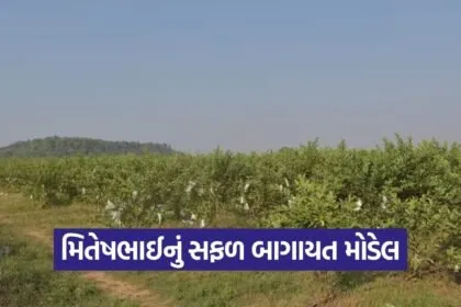 aravalli horticulture farming success 1