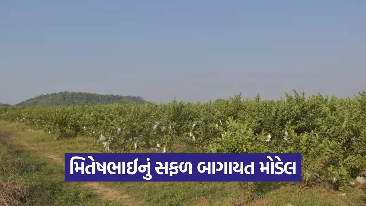 aravalli horticulture farming success 1.jpg
