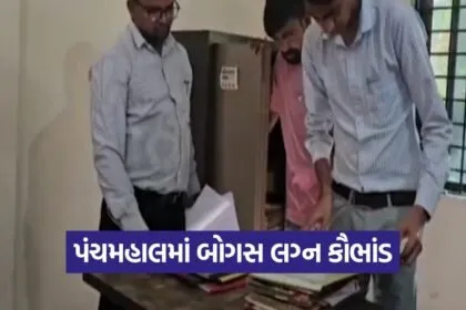 bogus marriage registration scam panchmahal 1