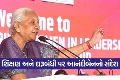 anandiben patel book launch 2