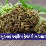 surat lal gate drug factory