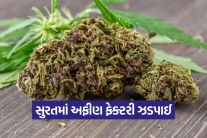 surat lal gate drug factory