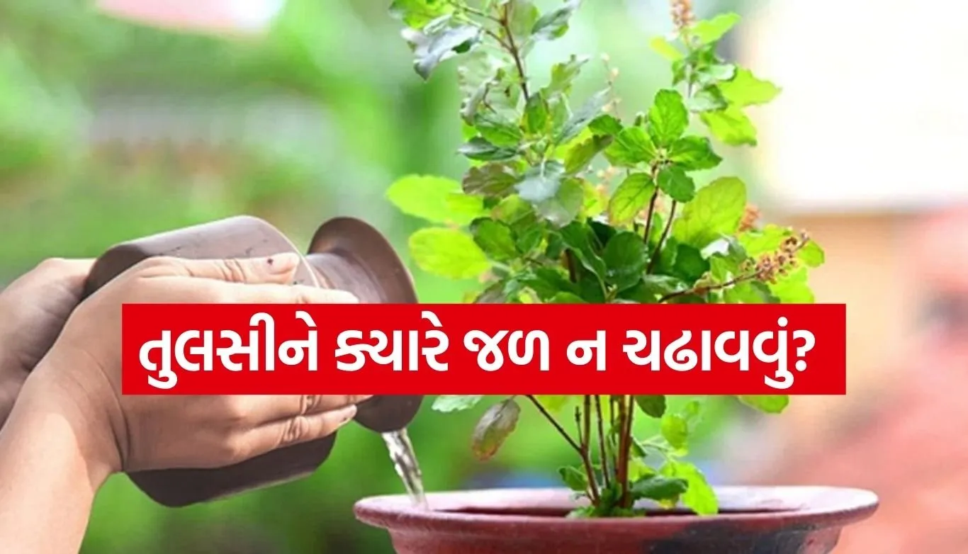 Vastu Tips