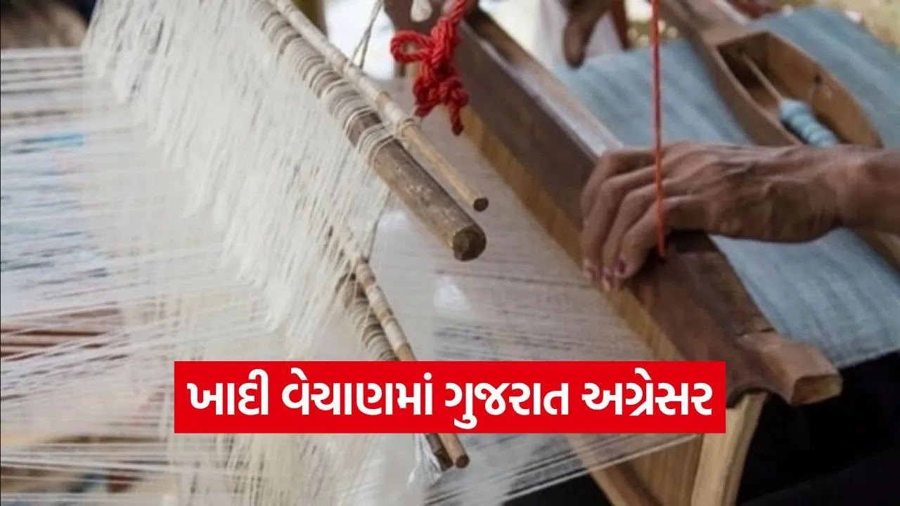 gujarat khadi sales 1.jpg