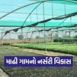 madhi nursery growth