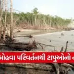 sundarban climate impact 1