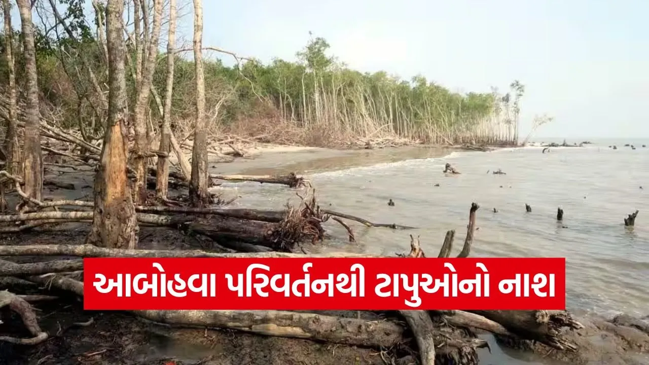 sundarban climate impact 1.jpg