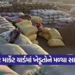 rajkot market yard price update 1