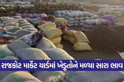 rajkot market yard price update 1