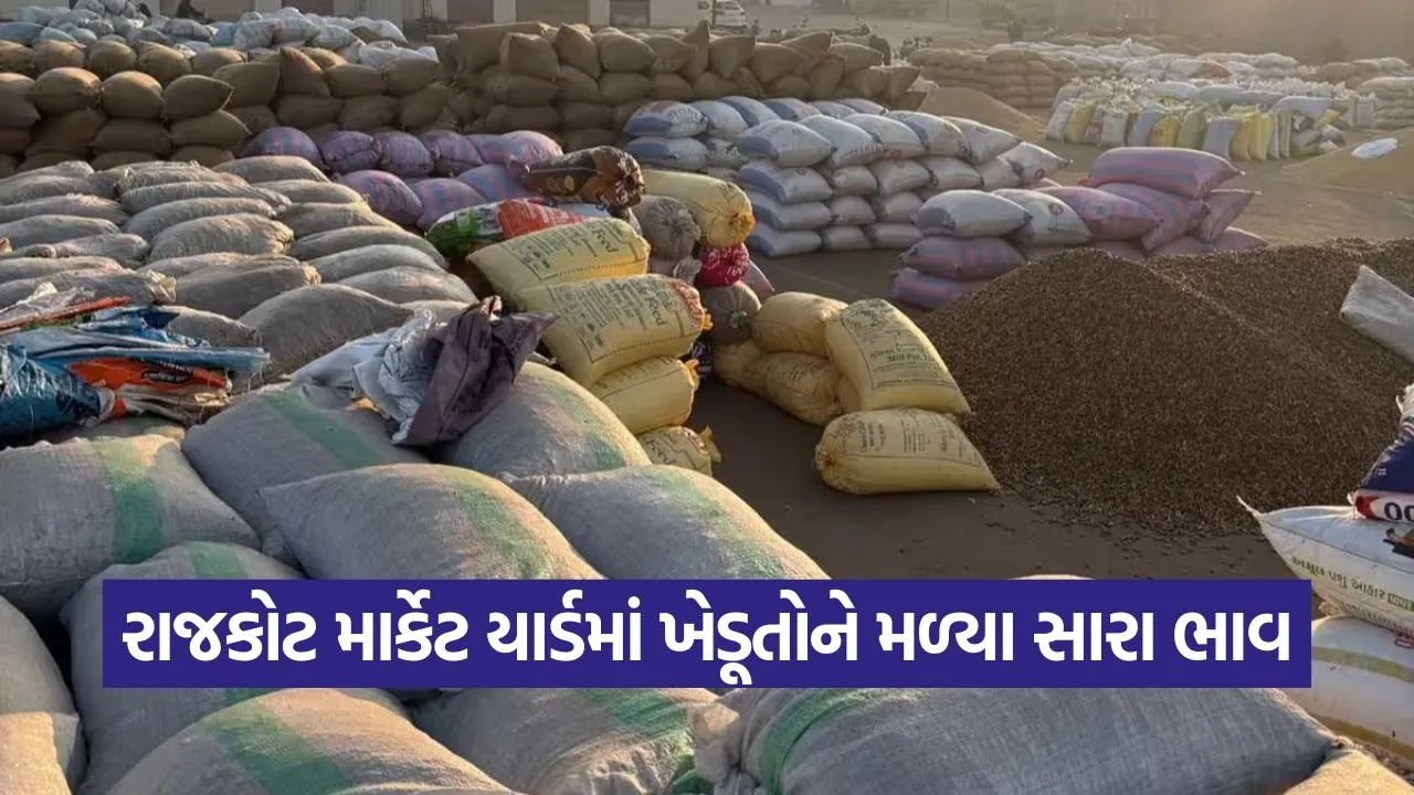 rajkot market yard price update 1.jpg