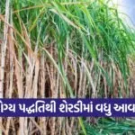 sugarcane farming 1