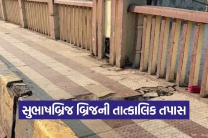 subhash bridge inspection 1