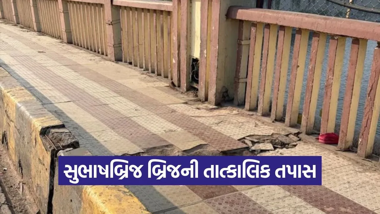 subhash bridge inspection 1.jpg