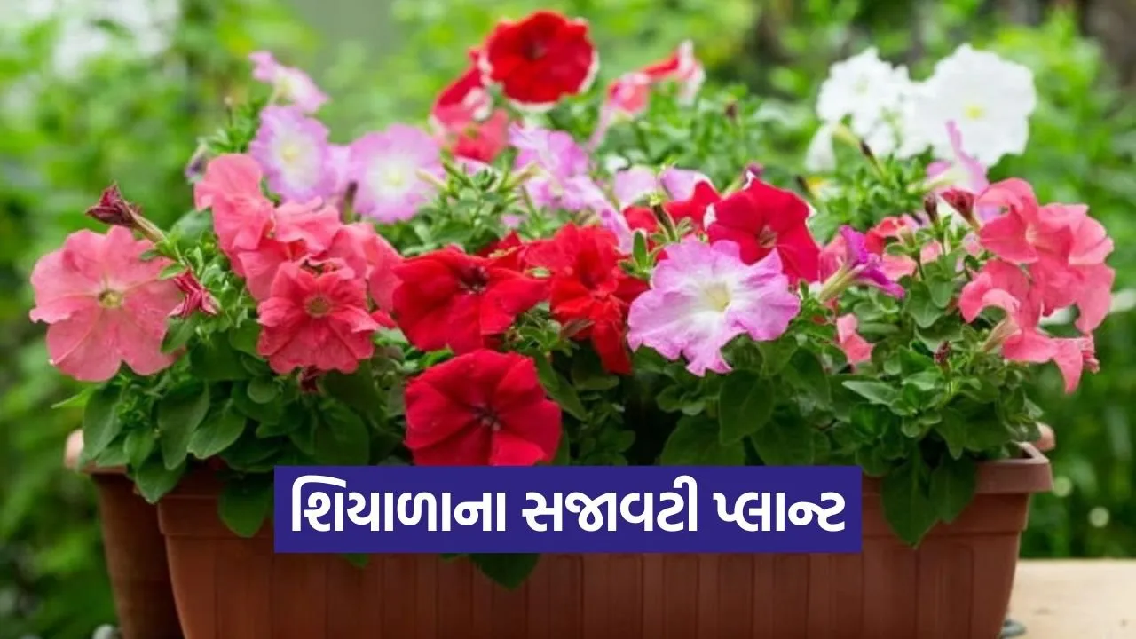 winter flowering plants 1.jpg