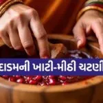 Pomegranate Chutney Recipe