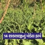 Natural farming Gujarat model 1