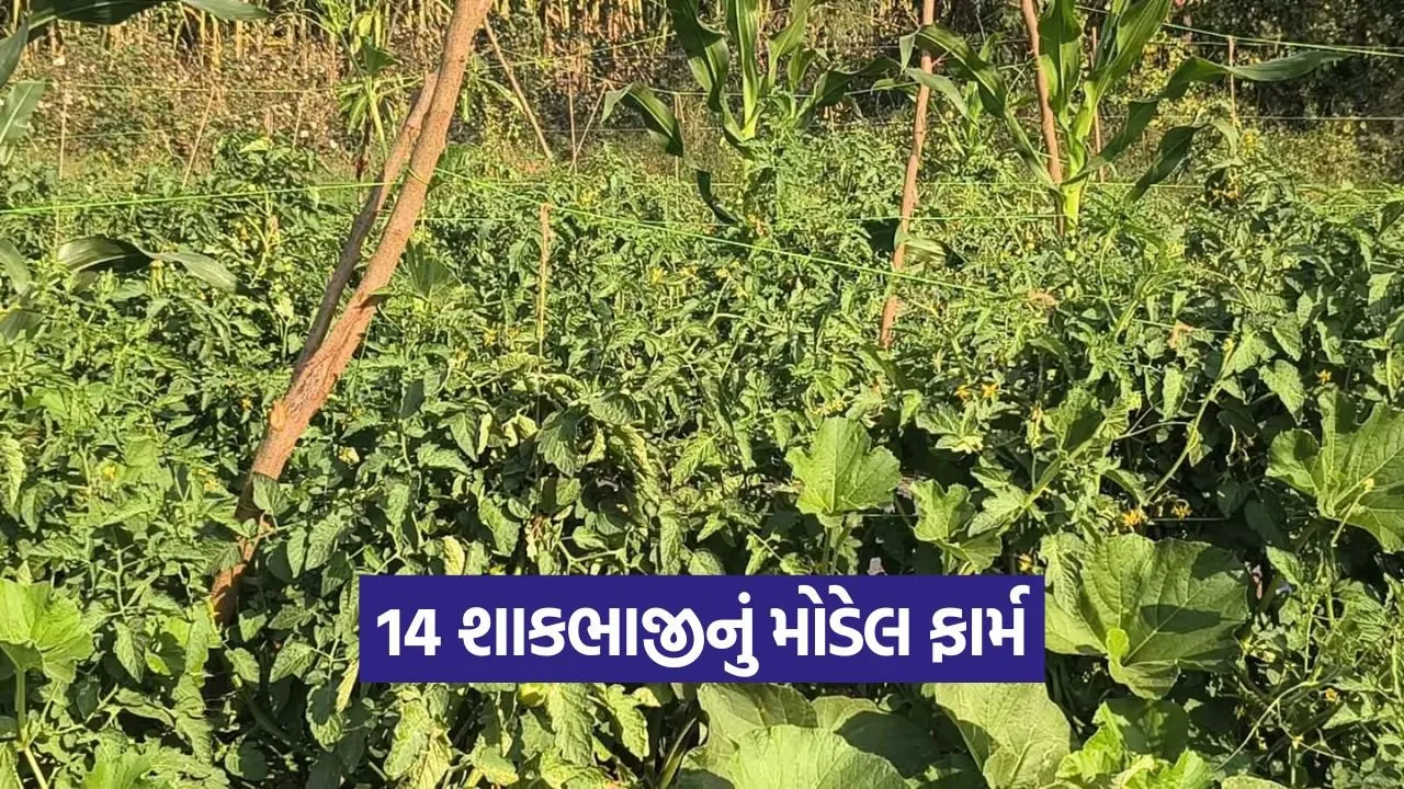 Natural farming Gujarat model 1.jpg