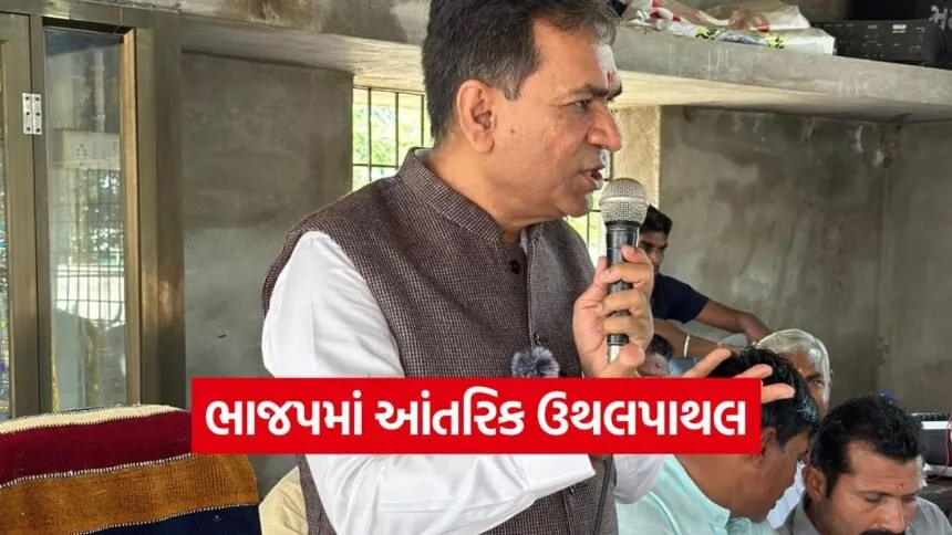 Gujarat BJP MLA statement 1