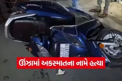unjha pre planned murder case 1