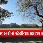 navsari flower show Gujarat 1