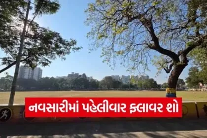 navsari flower show Gujarat 1