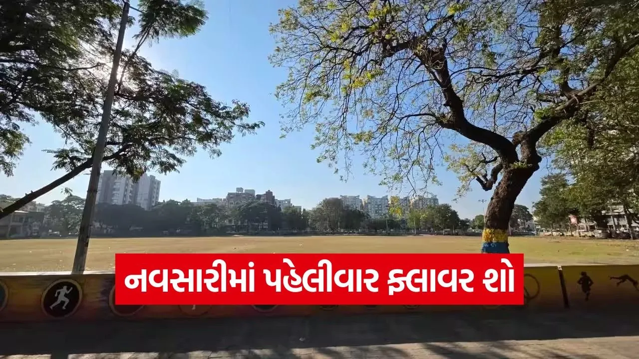 navsari flower show Gujarat 1.jpg
