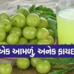 amla benifit