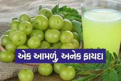 amla benifit