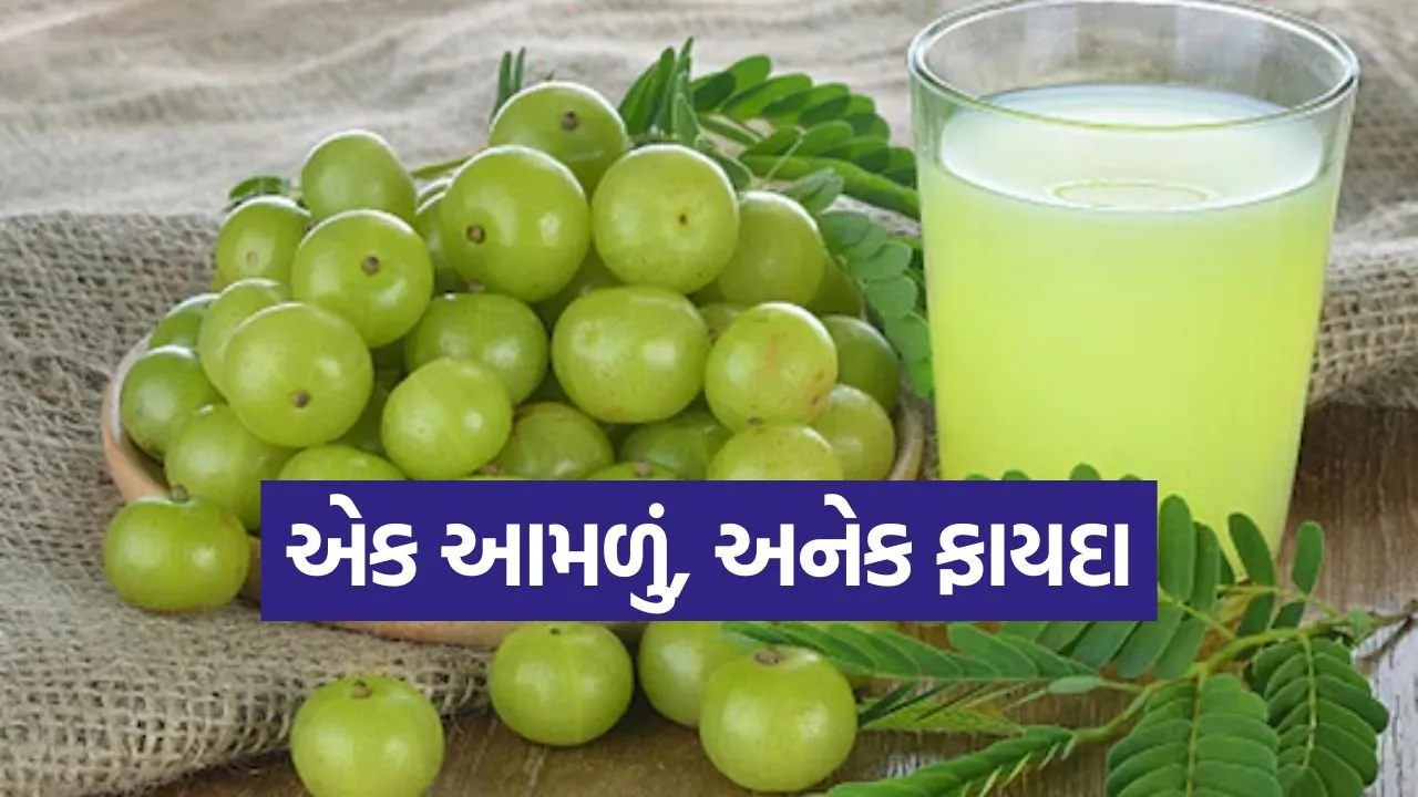 amla benifit.jpg
