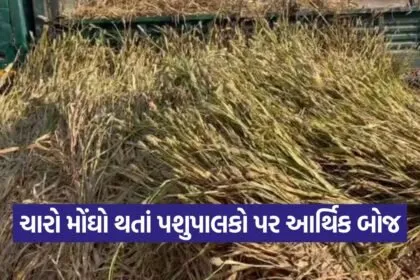 fodder price hike 1
