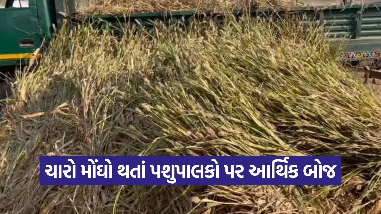 fodder price hike 1.jpg