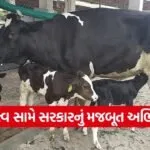 fertility improvement program gujarat 1