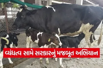 fertility improvement program gujarat 1