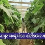 kundalpur hi tech farming model 1