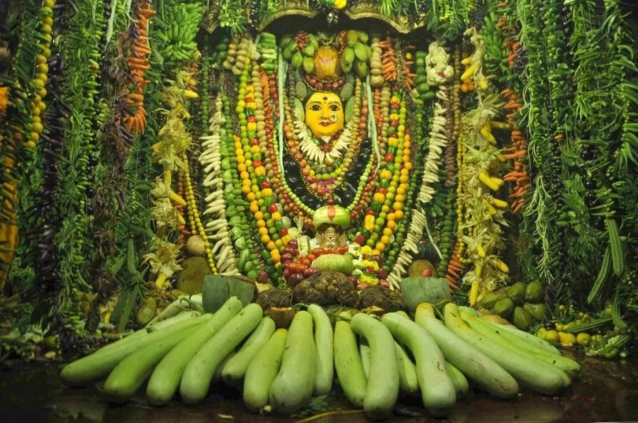 Shakambhari Navratri 