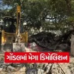 Gondal demolition update