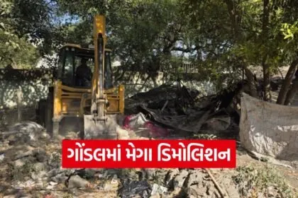 Gondal demolition update