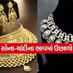 india 2025 12 10T100852.465