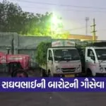 raghavbhai barot cow service 1