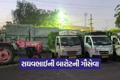raghavbhai barot cow service 1