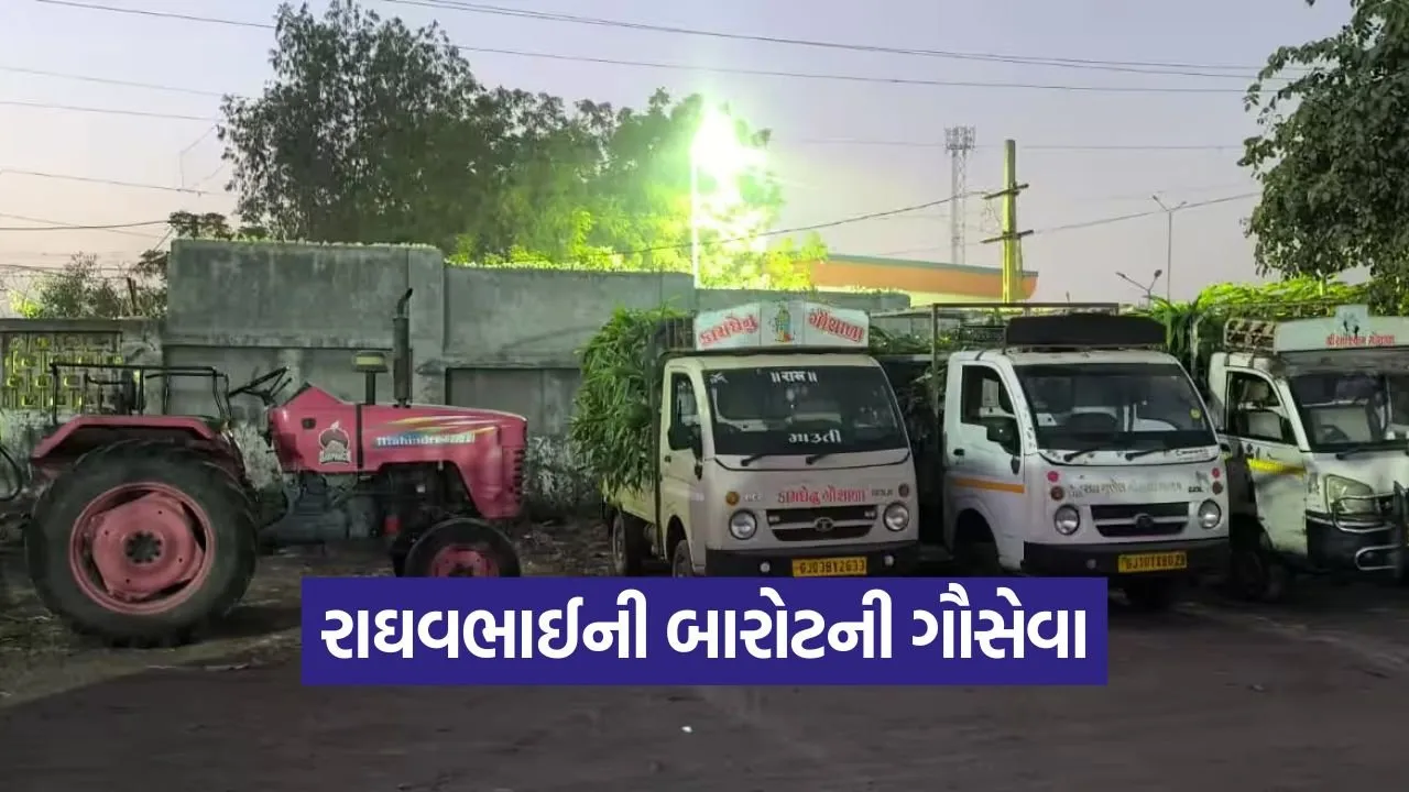 raghavbhai barot cow service 1.jpg