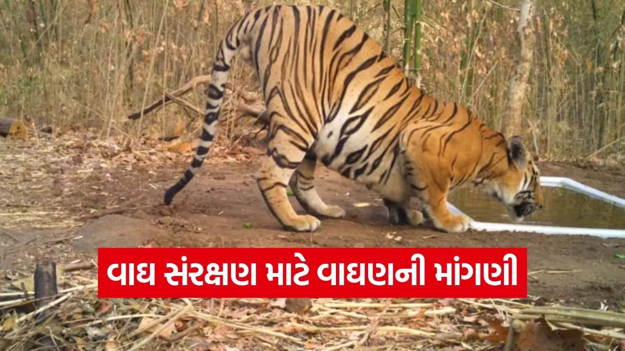 gujarat tiger conservation ratanmahal 1.jpg