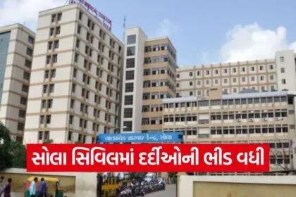 Ahmedabad winter illness 1