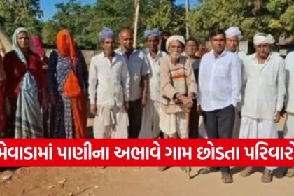mevada village water crisis 1
