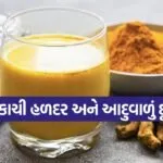 Dharmishtha 22