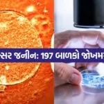 india 2025 12 11T102140.332