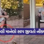 video0