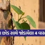 Vastu Tips