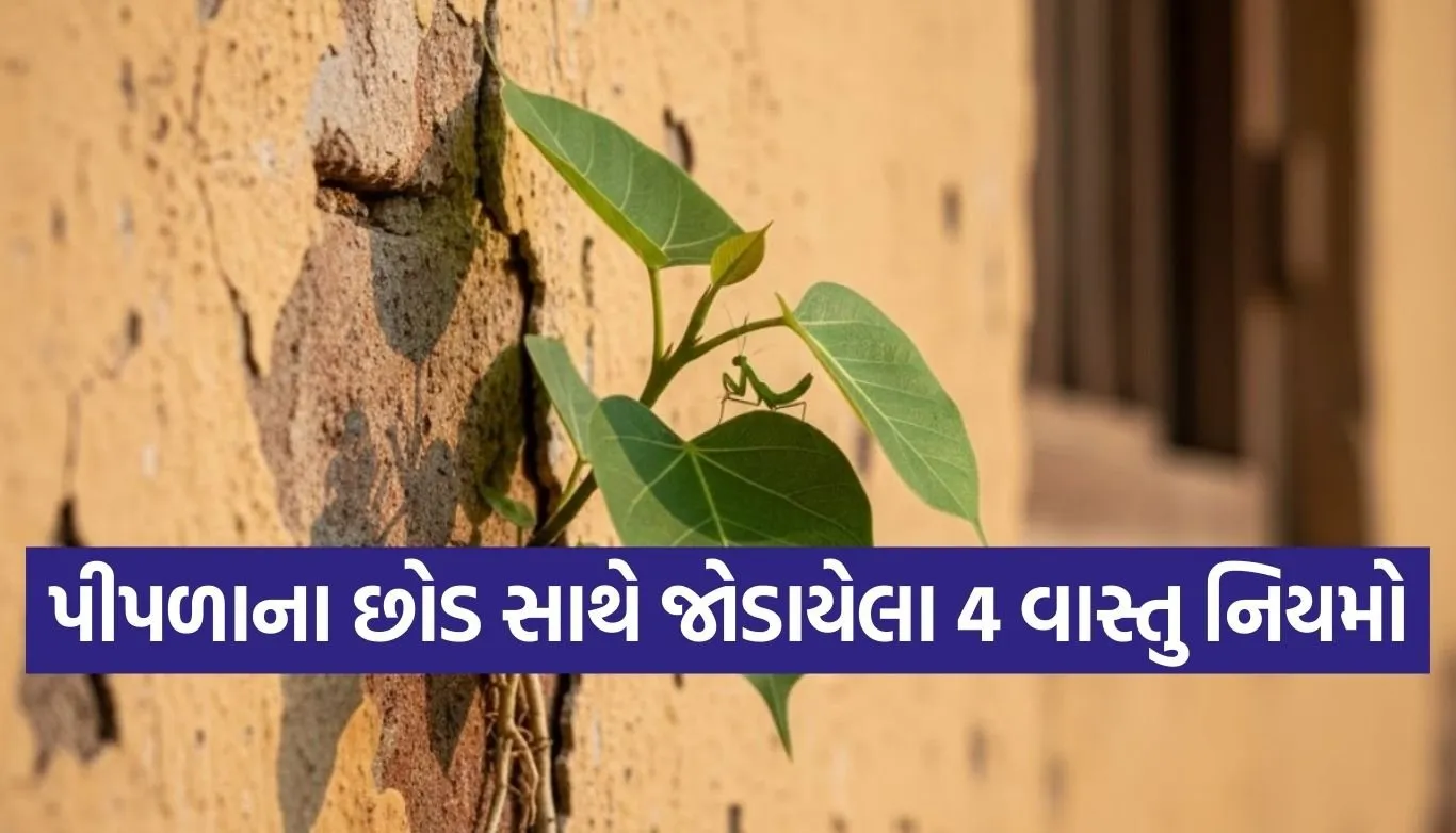Vastu Tips
